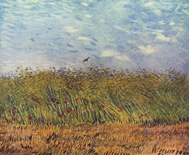 Vincent van Gogh wheat field with a lark 1887